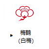梅鶴(白梅)
