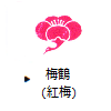 梅鶴(紅梅)