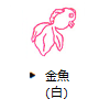 金魚(白)