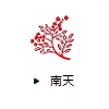 南天(ナンテン)